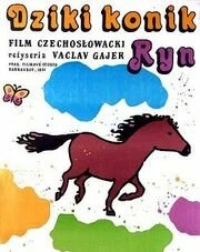 Постер Divoký koník Ryn