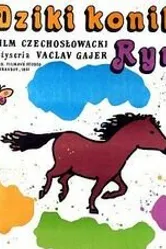 Divoký koník Ryn постер