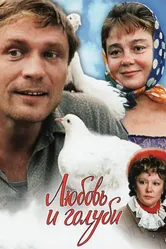 Любовь и голуби 1984 постер