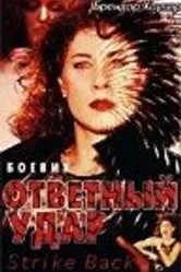 Ответный удар 1995 постер