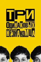 Три одинаковых незнакомца 2018 постер