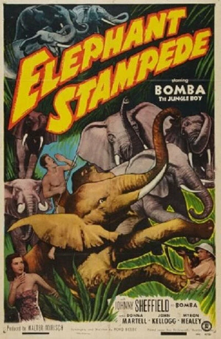 Постер Elephant Stampede