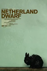 Карликовый нидерландский кролик 2008 постер