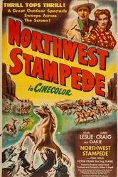 Northwest Stampede постер