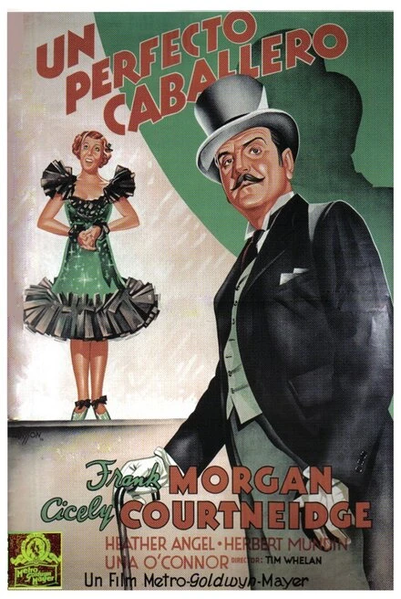 Постер The Perfect Gentleman
