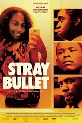 Stray Bullet постер
