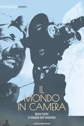 Il mondo in camera постер