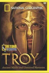 НГО: Троя 2004 постер