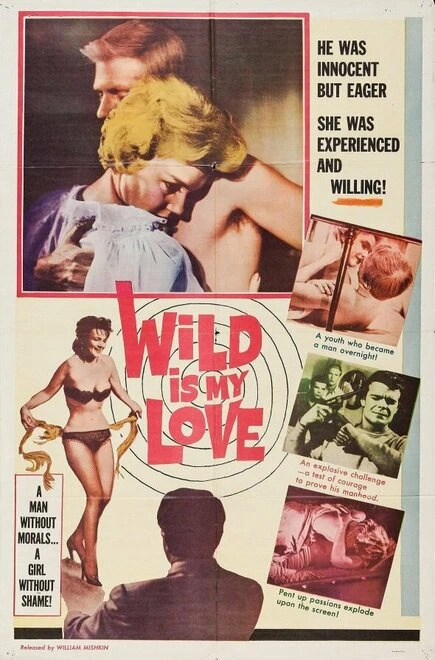 Постер Wild Is My Love