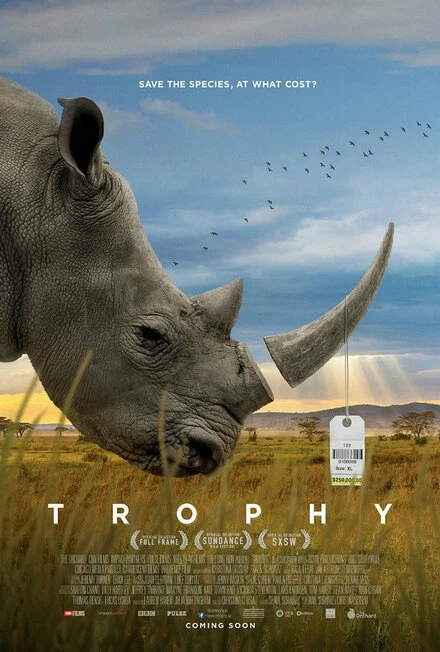 Постер Трофей 2017