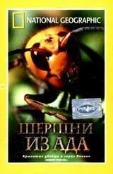 Постер НГО: Шершни из ада 2002