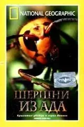 НГО: Шершни из ада 2002 постер