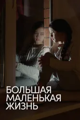 Большая маленькая жизнь 2020 постер