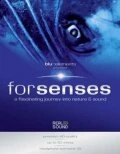 Постер Senses 2009