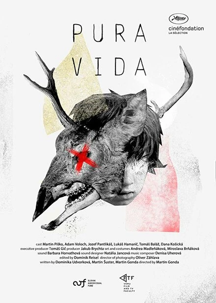 Постер Pura Vida 2019