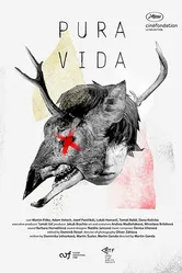 Pura Vida 2019 постер