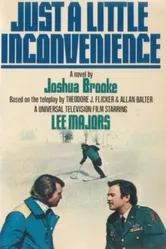 Просто небольшое беспокойство 1977 постер