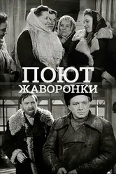 Поют жаворонки 1953 постер