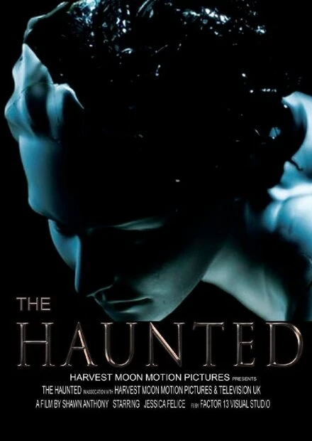 Постер The Haunted 2015