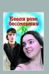 Белая роза бессмертия 1984 постер