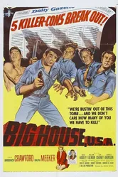 Большой дом 1955 постер