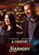 Рождество в стиле кантри 2022 постер