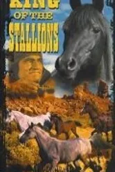King of the Stallions постер