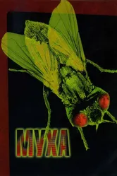 Муха 1986 постер