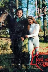 Когда приходит любовь 1990 постер