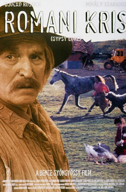 Постер Цыганский закон 1997