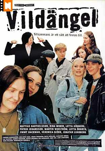 Постер Дикий ангел 1997