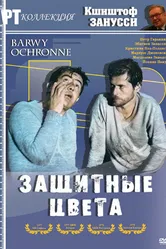 Защитные цвета 1977 постер