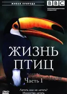 BBC: Жизнь птиц 1998 постер