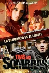 Tras las sombras постер