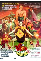 Чудесные бойцы 1982 постер