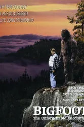 Снежный человек: Незабываемая встреча 1995 постер