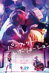 Идеальная революция 2017 постер