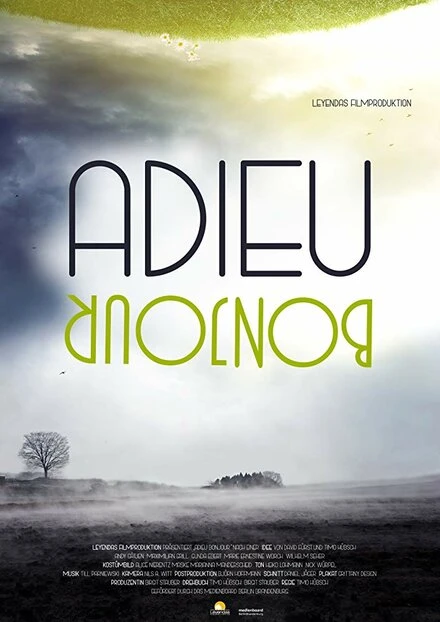 Постер Adieu Bonjour