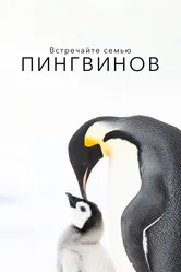 Встречайте семью пингвинов 2020 постер