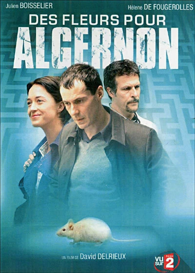 Постер Цветы для Элджернона 2006
