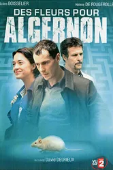 Цветы для Элджернона 2006 постер