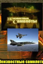 Неизвестные самолеты 2011 постер