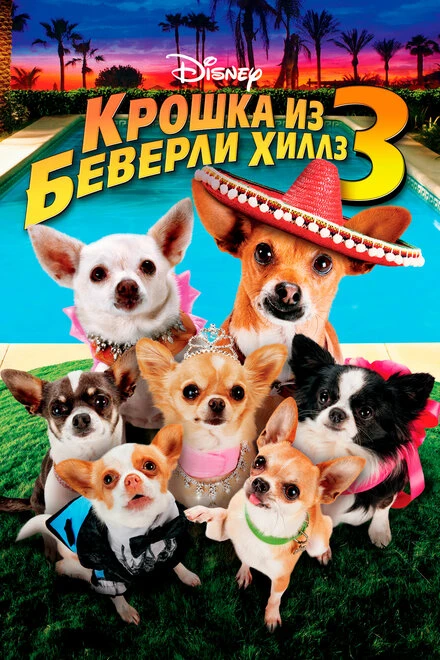 Постер Крошка из Беверли-Хиллз 3 2012