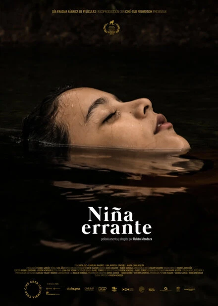 Постер Niña errante
