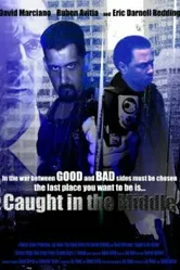 Caught in the Middle 2009 постер