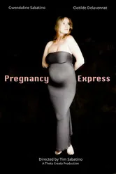 Pregnancy Express постер