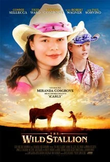 Постер Дикий жеребец 2009