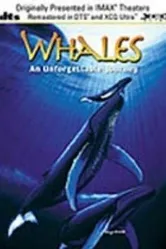 Whales: An Unforgettable Journey постер