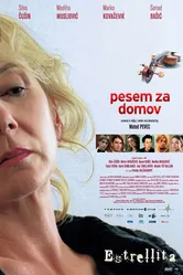 Эстрелита 2007 постер
