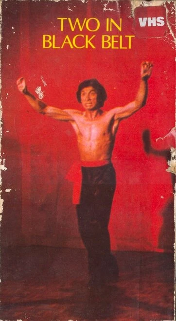 Постер Двое в черном поясе 1978